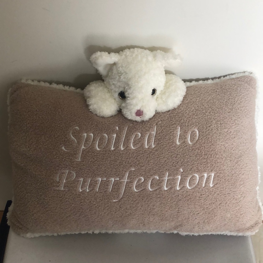 Snuggly pillow “Spoiled to Purrfection”